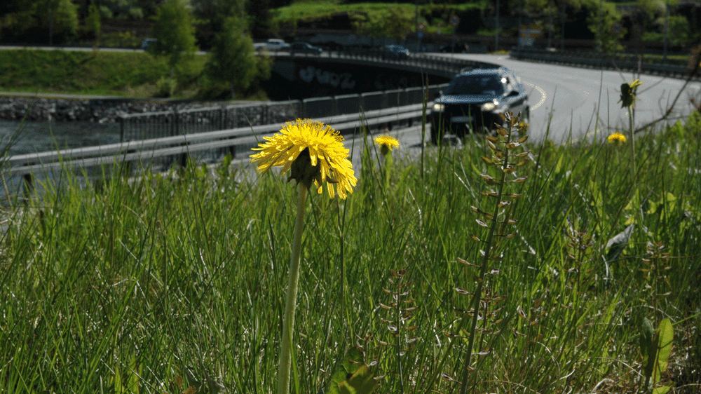 Grønvaskingsplakaten #500